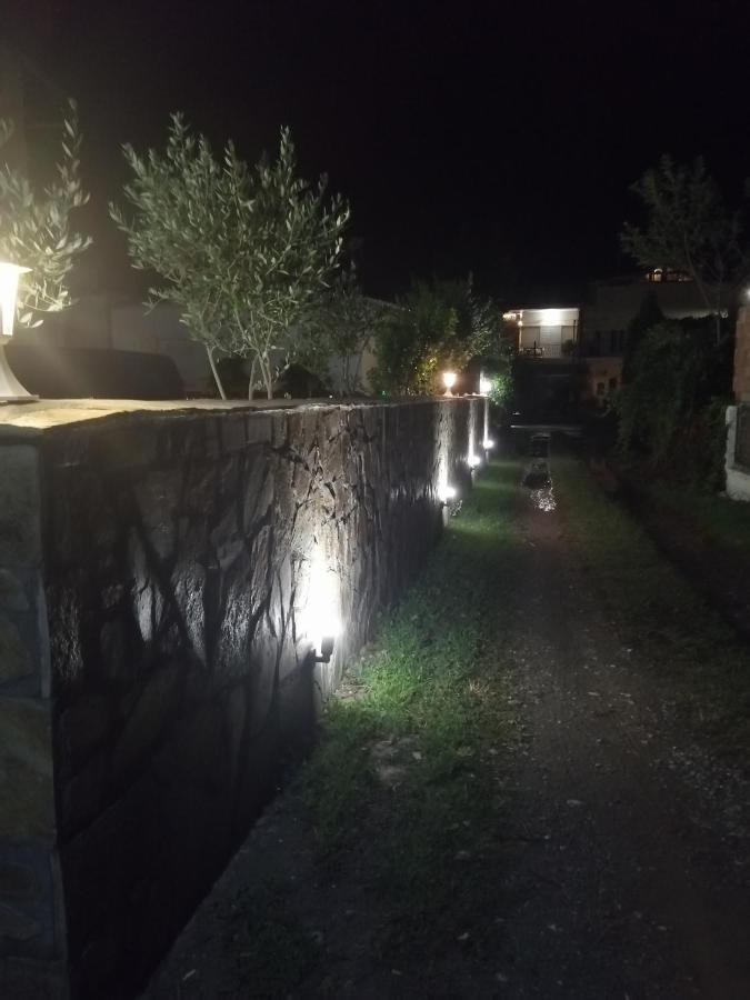 Ο Ακλόνητος Aparthotel Nea Mesagkala Exterior photo
